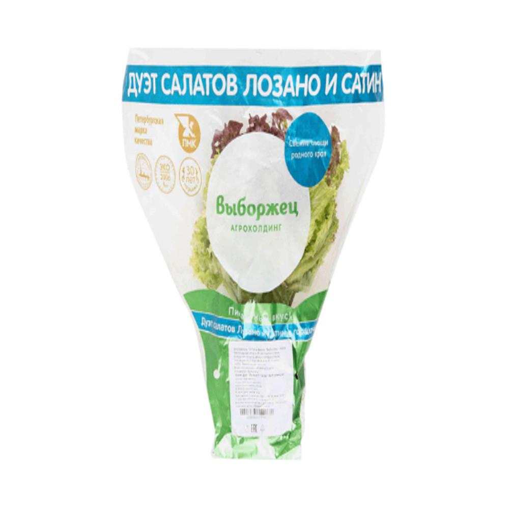 Дуэт Салатов Лозано и Сатин шт