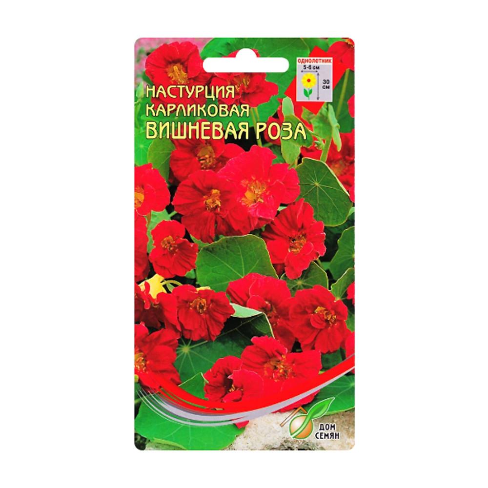 Семена Настурция Вишневая роза карл.