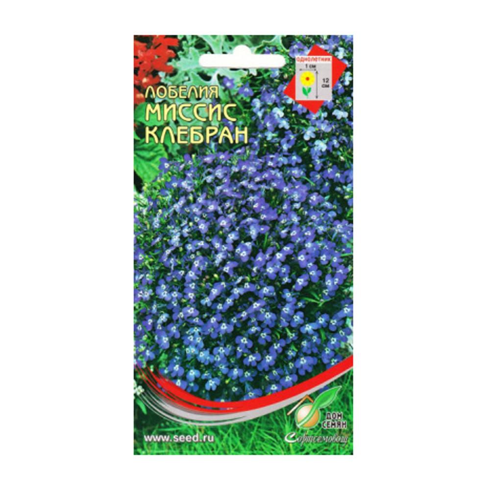 Семена Лобелия Мисс Клебран
