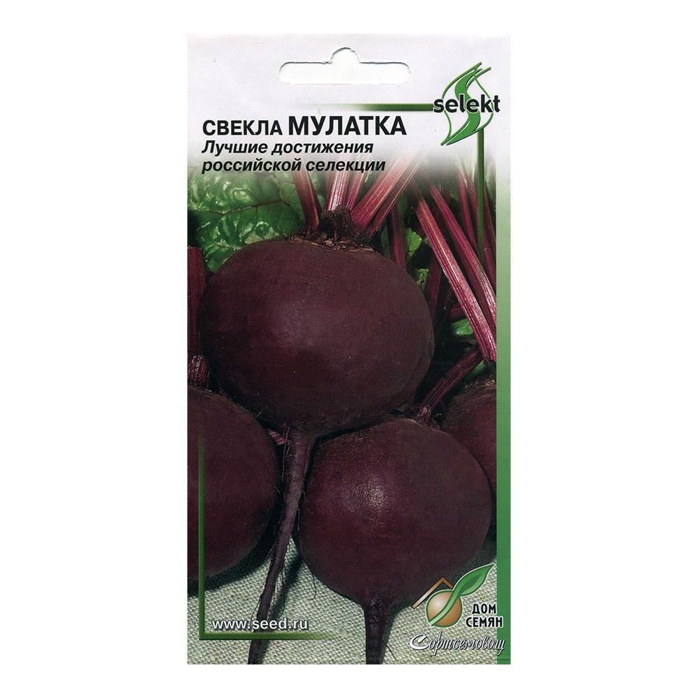 Семена Свекла Мулатка