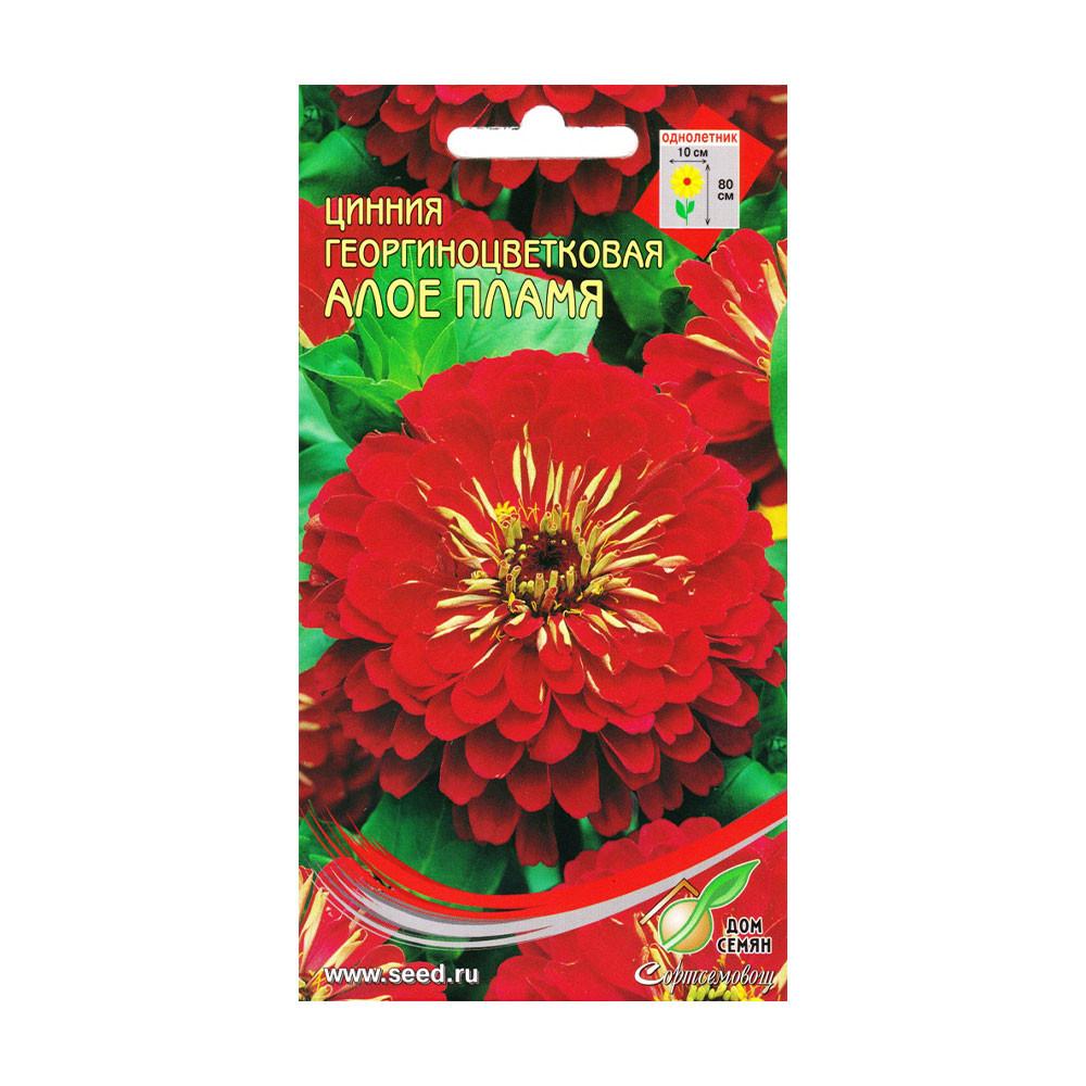 Семена Цинния Алое пламя