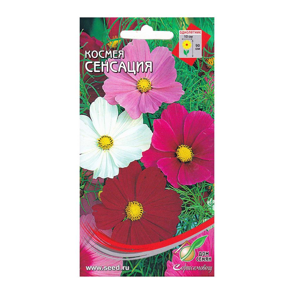 Семена Космея Сенсация