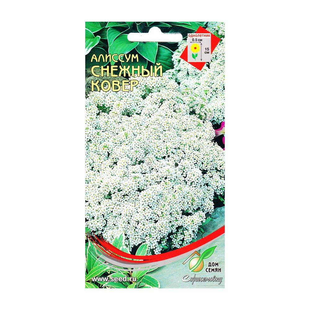 Семена Алиссум одн. Снежный ковер