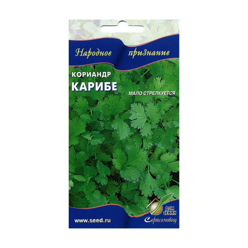 Семена Кориандр Карибе
