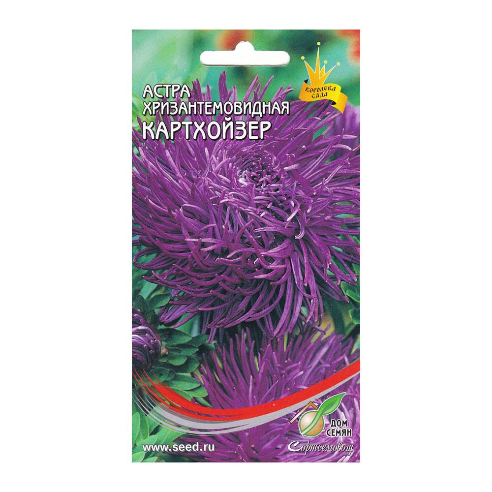 Семена Астра хризантемовидная Картхойзер