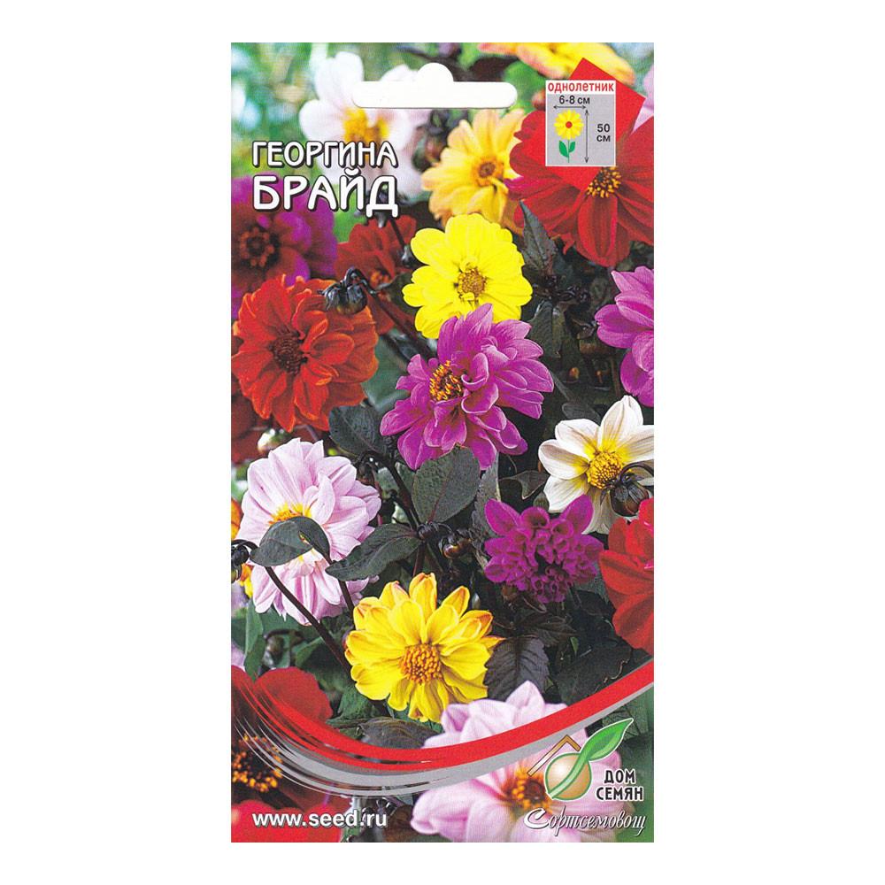Семена Георгина Брайд